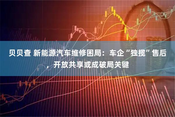 贝贝查 新能源汽车维修困局：车企“独揽”售后，开放共享或成破局关键