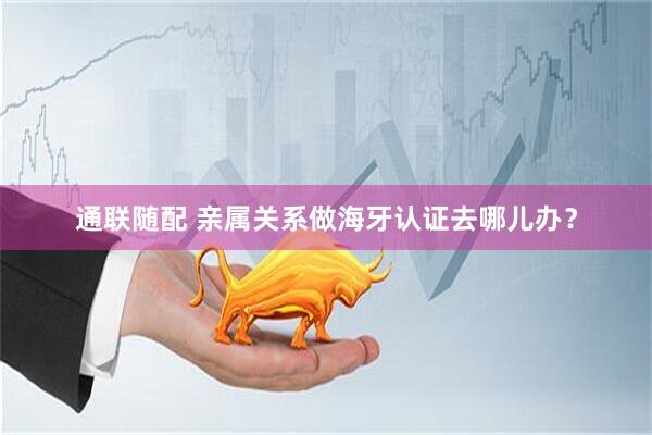 通联随配 亲属关系做海牙认证去哪儿办？