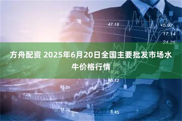 方舟配资 2025年6月20日全国主要批发市场水牛价格行情