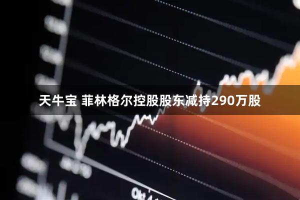 天牛宝 菲林格尔控股股东减持290万股