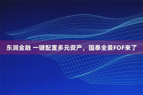 东润金融 一键配置多元资产，国泰全景FOF来了