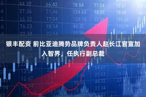 银丰配资 前比亚迪腾势品牌负责人赵长江官宣加入智界，任执行副总裁