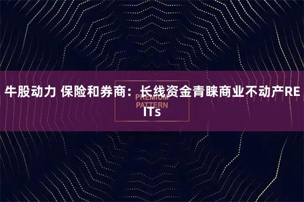 牛股动力 保险和券商：长线资金青睐商业不动产REITs