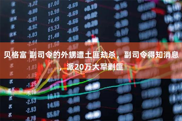 贝格富 副司令的外甥遭土匪劫杀，副司令得知消息，派20万大军剿匪