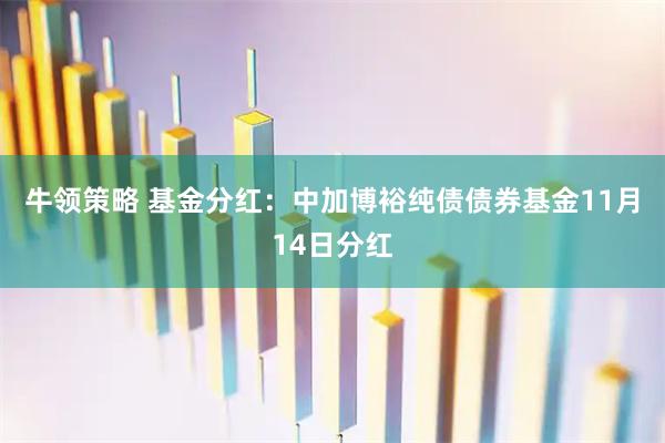 牛领策略 基金分红：中加博裕纯债债券基金11月14日分红